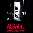 Assault - Anschlag bei Nacht