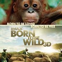 Born to be Wild 3D - Zurück zur Wildnis