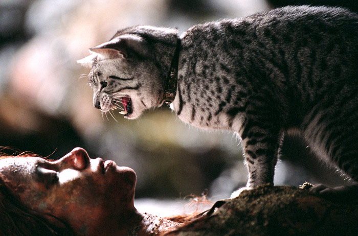 Szenenbild aus dem Film Catwoman