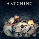 Hatching