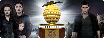 Die Nominierungen für die Goldene Himbeere 2013