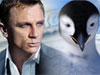 Bond vs. Pinguine