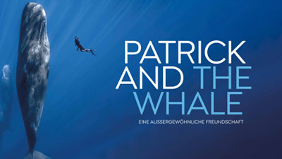 Patrick and the Whale - Das Uncut-Quiz