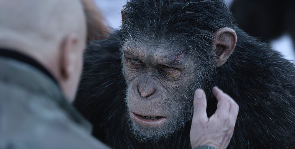 Szenenbild aus dem Film Planet der Affen - Survival
