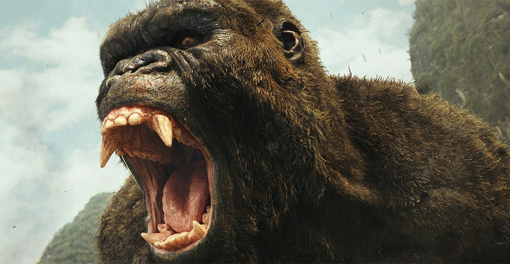 Szenenbild aus dem Film Kong: Skull Island