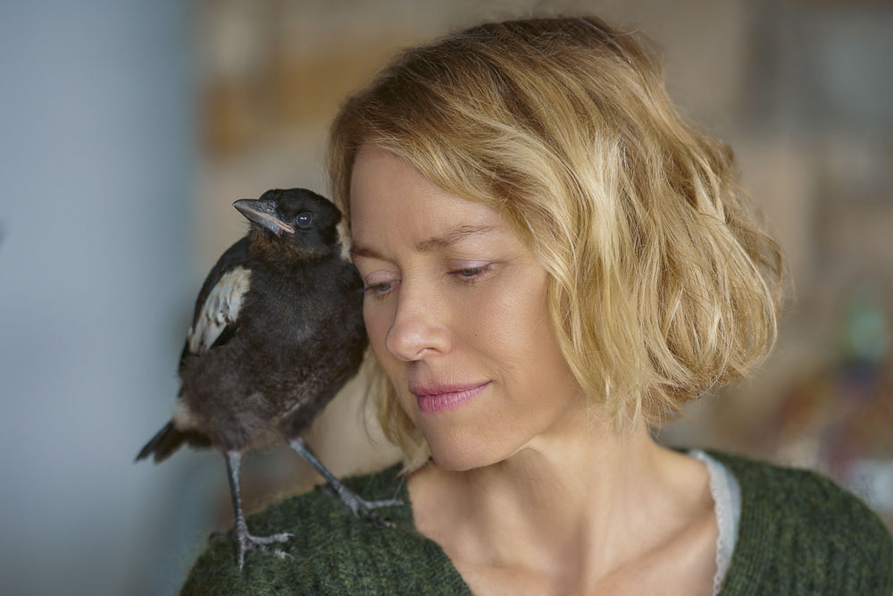 Szenenbild aus dem Film Beflügelt - Ein Vogel namens Penguin Bloom