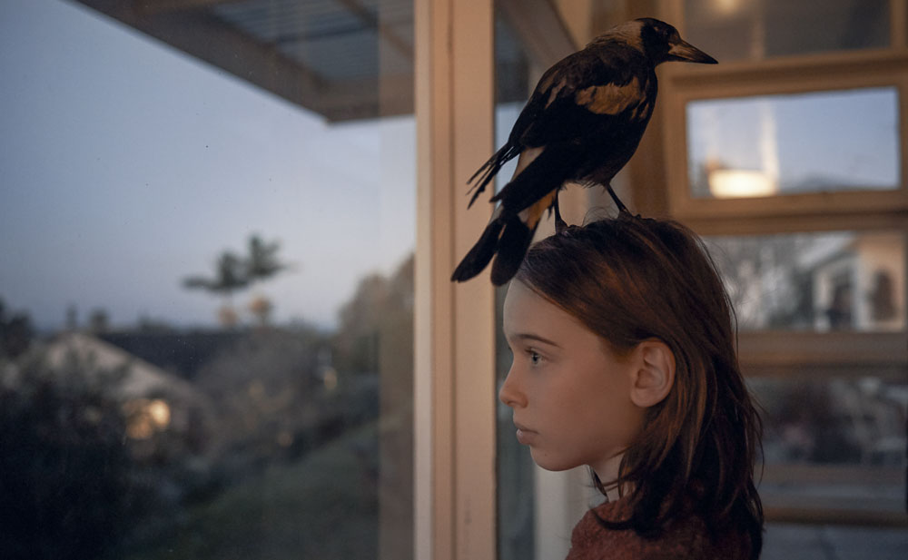 Szenenbild aus dem Film Beflügelt - Ein Vogel namens Penguin Bloom