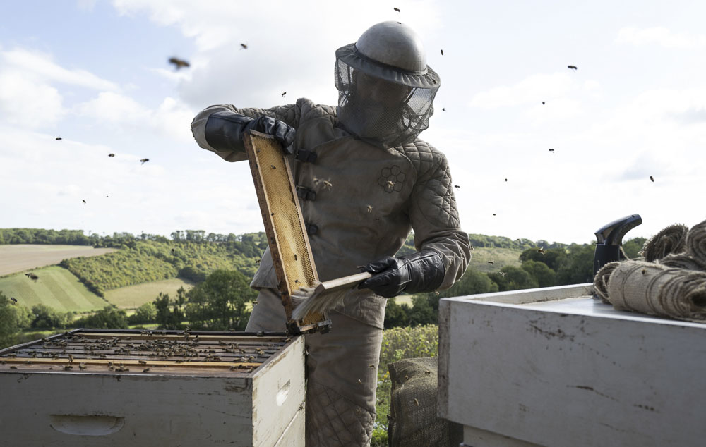 Szenenbild aus dem Film The Beekeeper