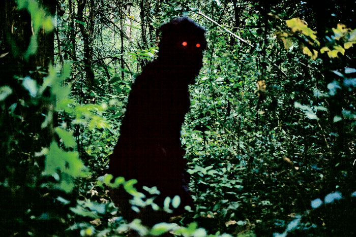 Szenenbild aus dem Film Uncle Boonmee Who Can Recall His Past Lives