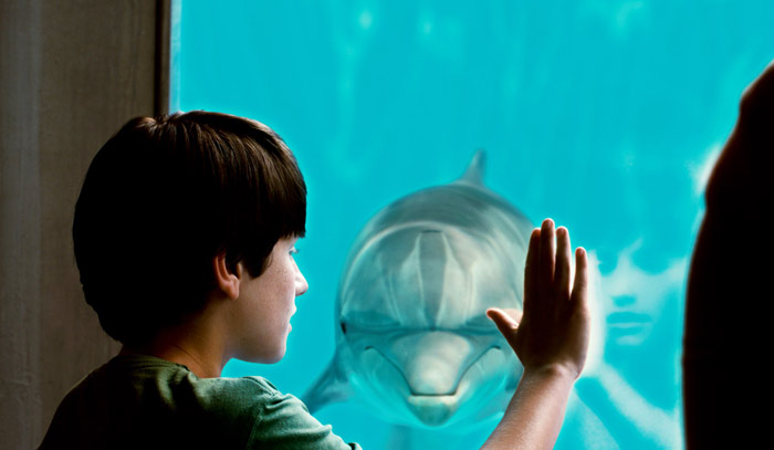 Szenenbild aus dem Film Mein Freund, der Delfin