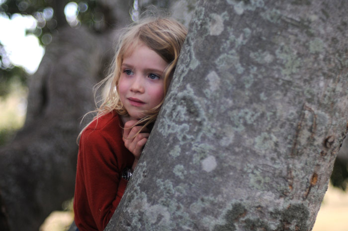 Szenenbild aus dem Film The Tree