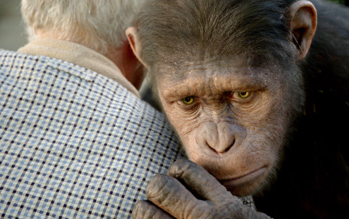 Szenenbild aus dem Film Planet der Affen - Prevolution