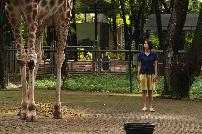 Szenenbild aus dem Film Postcards from the Zoo - Die Nacht der Giraffe