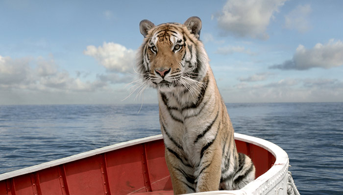 Szenenbild aus dem Film Life of Pi - Schiffbruch mit Tiger