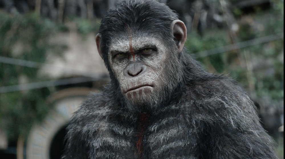 Szenenbild aus dem Film Planet der Affen - Revolution