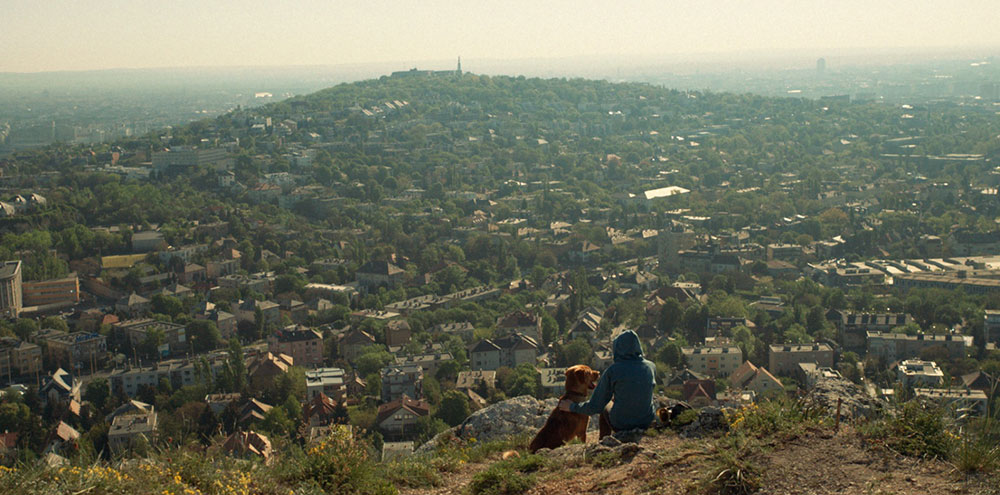 Szenenbild aus dem Film Underdog