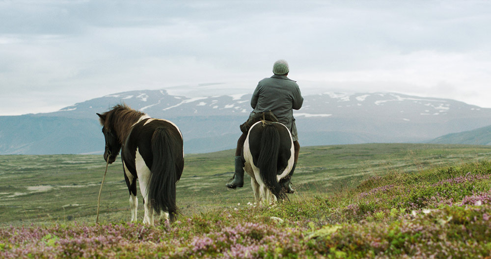 Szenenbild aus dem Film Von Menschen und Pferden