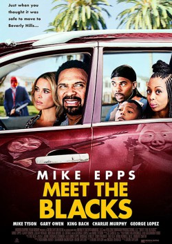 Filmplakat zu Meet the Blacks