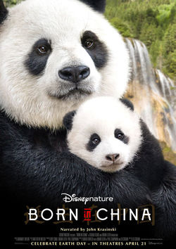 Filmplakat zu Born in China