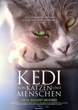 Filmplakat zu Kedi - Von Katzen und Menschen