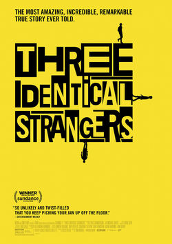 Filmplakat zu Three Identical Strangers