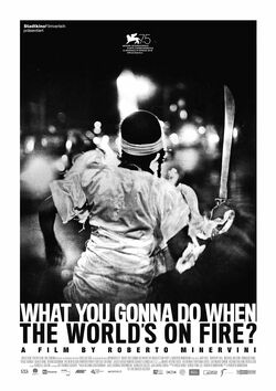 Filmplakat zu What You Gonna Do When the World's on Fire?