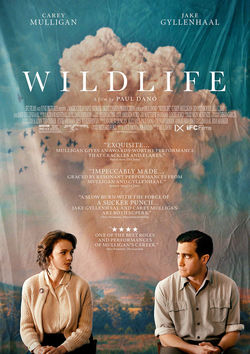 Filmplakat zu Wildlife