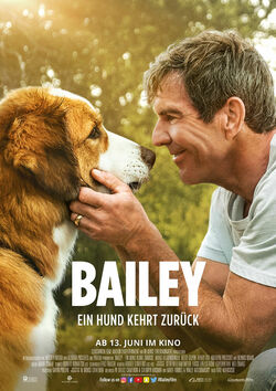 Filmplakat zu Bailey - Ein Hund kehrt zurück