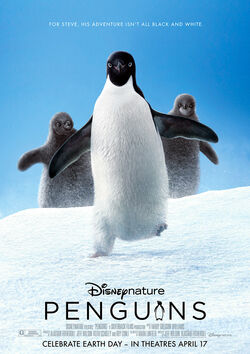 Filmplakat zu Penguins