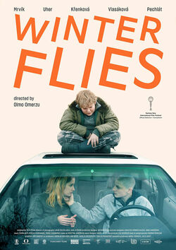 Filmplakat zu Winterfliegen - Winter Flies
