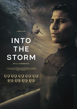 Filmplakat zu Into the Storm