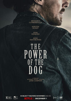 Filmplakat zu The Power of the Dog
