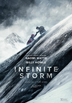 Filmplakat zu Infinite Storm