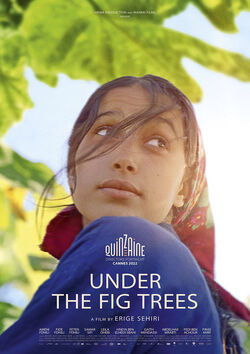 Filmplakat zu Under the fig trees