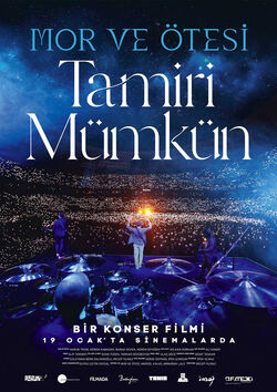 Filmplakat zu Mor ve ötesi - Tamiri Mümkün