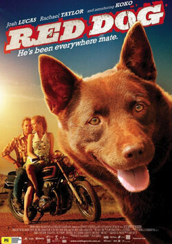 Filmplakat zu Red Dog