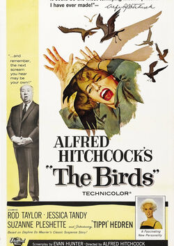 Filmplakat zu Die Vögel