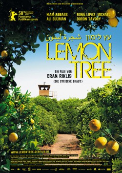 Filmplakat zu Lemon Tree