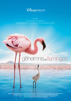 Filmplakat zu Das Geheimnis der Flamingos