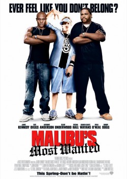 Filmplakat zu Malibu's Most Wanted