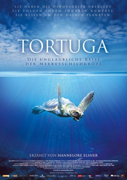 Filmplakat zu Tortuga - Die unglaubliche Reise der Meeresschildkröte