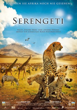 Filmplakat zu Serengeti
