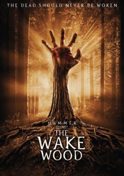 Filmplakat zu Wake Wood