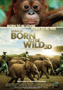 Filmplakat zu Born to be Wild 3D - Zurück zur Wildnis