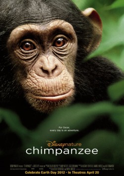 Filmplakat zu Schimpansen