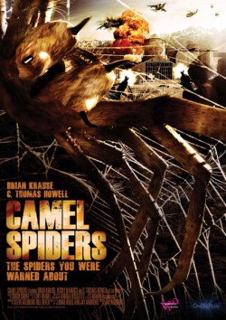 Filmplakat zu Camel Spiders