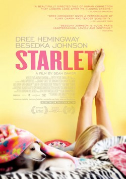 Filmplakat zu Starlet