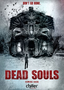 Filmplakat zu Dead Souls