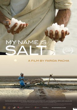 Filmplakat zu My Name Is Salt