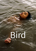 Filmplakat zu Bird